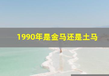 1990年是金马还是土马