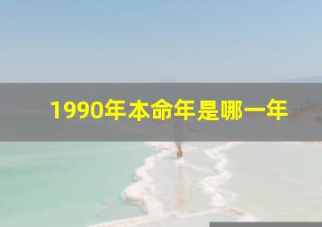 1990年本命年是哪一年