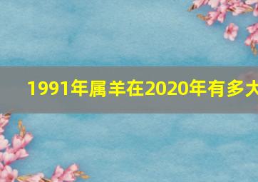 1991年属羊在2020年有多大