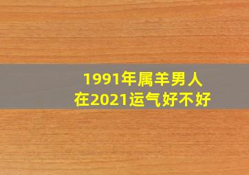 1991年属羊男人在2021运气好不好