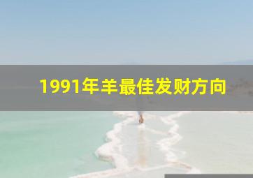 1991年羊最佳发财方向