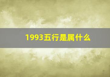 1993五行是属什么