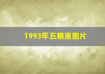 1993年五粮液图片