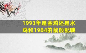 1993年是金鸡还是水鸡和1984的鼠般配嘛