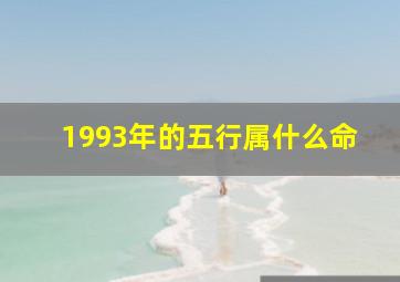 1993年的五行属什么命