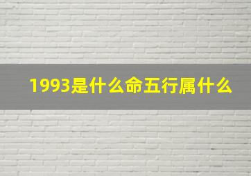 1993是什么命五行属什么