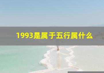 1993是属于五行属什么