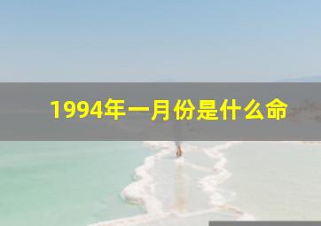 1994年一月份是什么命