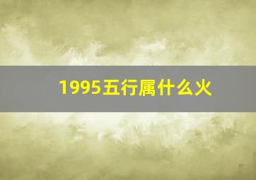 1995五行属什么火