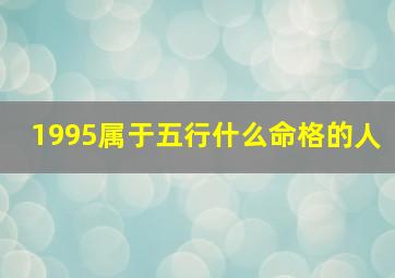 1995属于五行什么命格的人