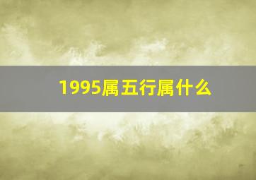 1995属五行属什么