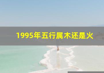 1995年五行属木还是火