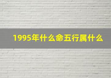 1995年什么命五行属什么