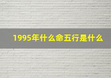 1995年什么命五行是什么