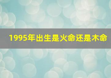 1995年出生是火命还是木命