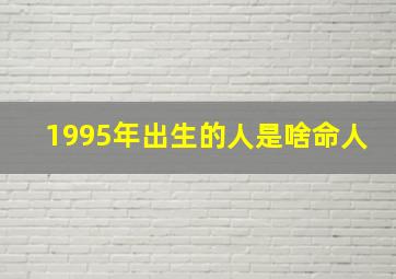 1995年出生的人是啥命人