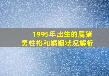 1995年出生的属猪男性格和婚姻状况解析