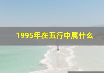 1995年在五行中属什么