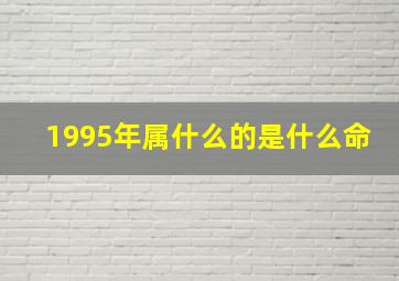 1995年属什么的是什么命