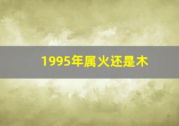 1995年属火还是木