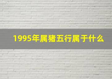 1995年属猪五行属于什么