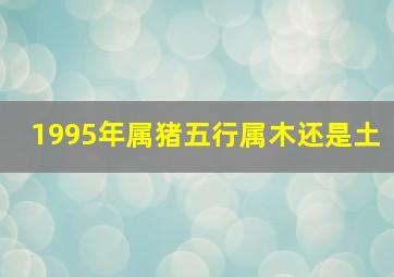 1995年属猪五行属木还是土