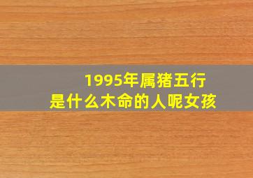 1995年属猪五行是什么木命的人呢女孩