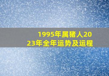 1995年属猪人2023年全年运势及运程