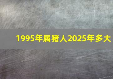 1995年属猪人2025年多大