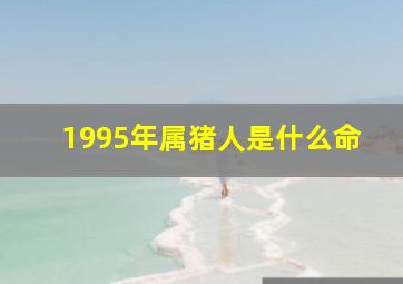 1995年属猪人是什么命