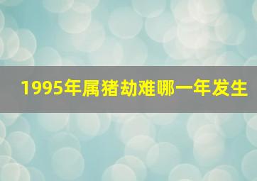 1995年属猪劫难哪一年发生