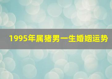 1995年属猪男一生婚姻运势