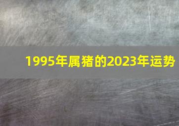 1995年属猪的2023年运势