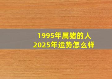 1995年属猪的人2025年运势怎么样