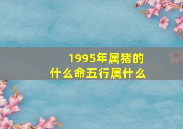 1995年属猪的什么命五行属什么