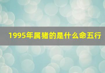 1995年属猪的是什么命五行