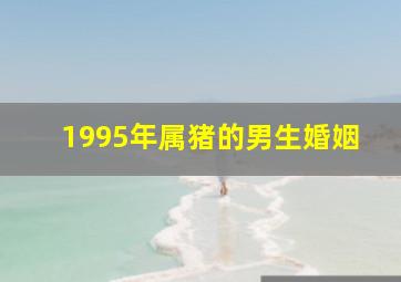 1995年属猪的男生婚姻