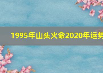 1995年山头火命2020年运势