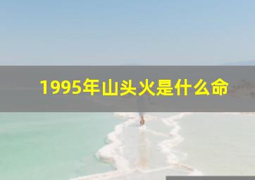 1995年山头火是什么命