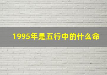 1995年是五行中的什么命