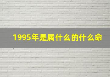 1995年是属什么的什么命