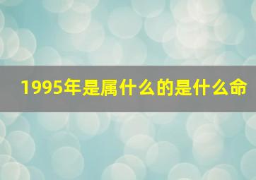 1995年是属什么的是什么命