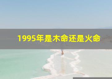 1995年是木命还是火命