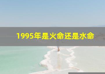 1995年是火命还是水命