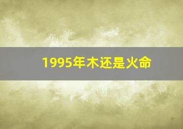 1995年木还是火命