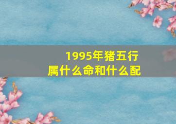 1995年猪五行属什么命和什么配