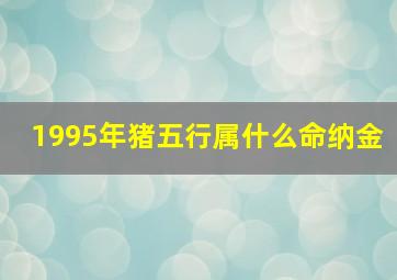 1995年猪五行属什么命纳金