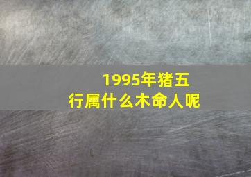 1995年猪五行属什么木命人呢