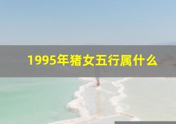 1995年猪女五行属什么