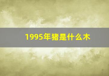 1995年猪是什么木